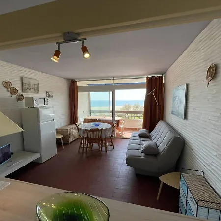 2 Pieces Face Avec Loggia, Parking Securise Et Wifi - Saint-cyprien - Fr-1-106-46 Apartmán