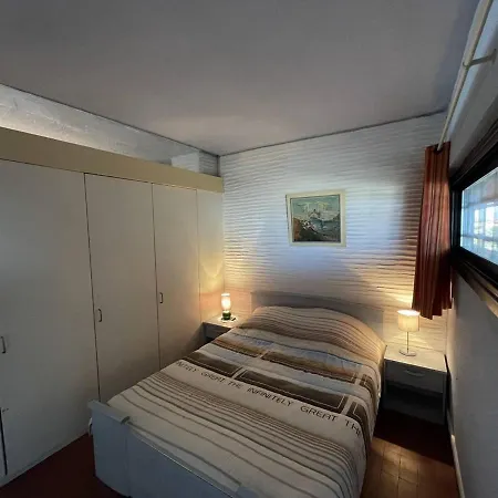Apartmán 2 Pieces Face Avec Loggia, Parking Securise Et Wifi - Saint-cyprien - Fr-1-106-46