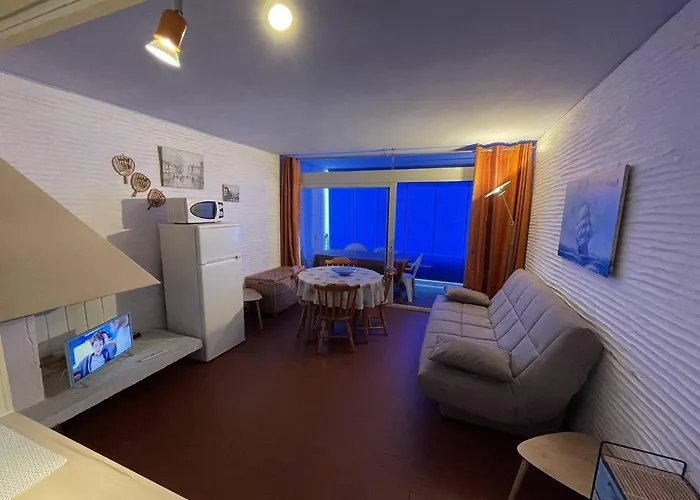 2 Pieces Face Avec Loggia, Parking Securise Et Wifi - Saint-cyprien - Fr-1-106-46 * Saint-Cyprien (Pyrenees-Orientales)